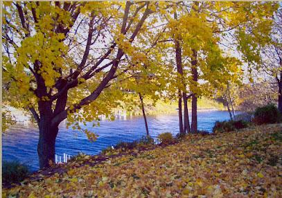 Ronald D. Gardin, DDS - General dentist in Manistee, MI