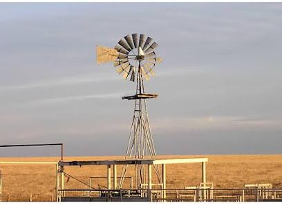 Plainview West Texas Dental Associates - General dentist in Plainview, TX