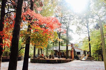 Mahan Creek Dental - General dentist in Brierfield, AL