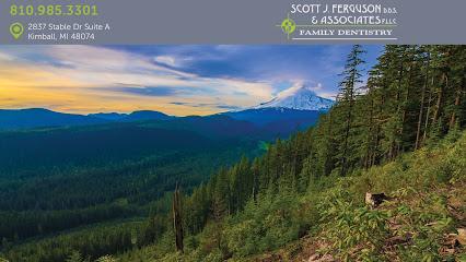 Scott J. Ferguson D.D.S. - General dentist in Smiths Creek, MI