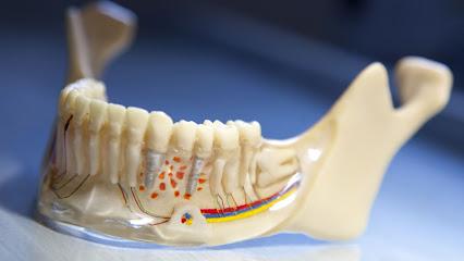 Albany Dental Associates - Periodontist in Delmar, NY