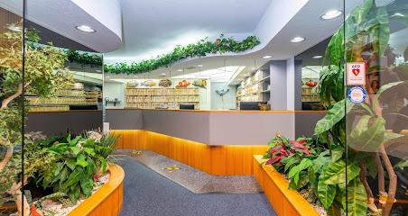 Massey Dentistry – Cosmetic, Implants & Family - Cosmetic dentist, General dentist in Palm Harbor, FL