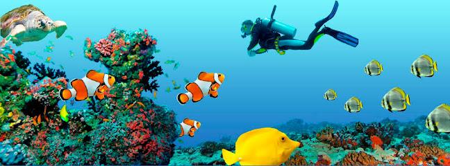 Ocean Dental - General dentist in Jonesboro, AR