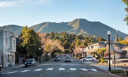 Negar Safapour, DDS - General dentist in Mill Valley, CA