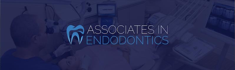 Associates In Endodontics, PA – Vincent C. Lovetto,Jr DMD - Endodontist in Naples, FL