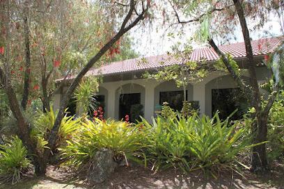 Catlin Dental Group - Cosmetic dentist, General dentist in Fort Myers, FL