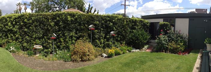Laurene K. Duke Total Wellness Dentistry - General dentist in Bellflower, CA