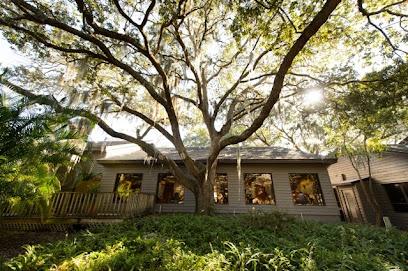 Countryside Oaks Dental - General dentist in Clearwater, FL