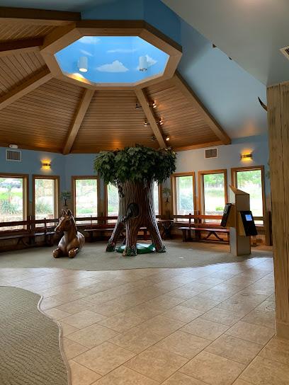 Little Smiles Dentistry - General dentist in Boerne, TX