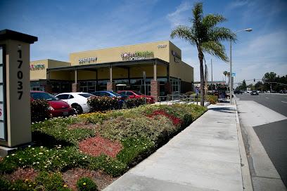 Andreea Moisiuc DDS - General dentist in Fountain Valley, CA