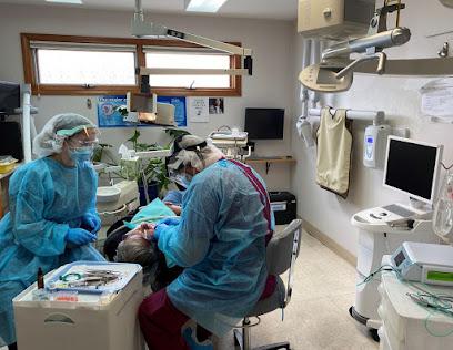 Dr. Roya S. Abbott, DMD - General dentist in Hudson, MA