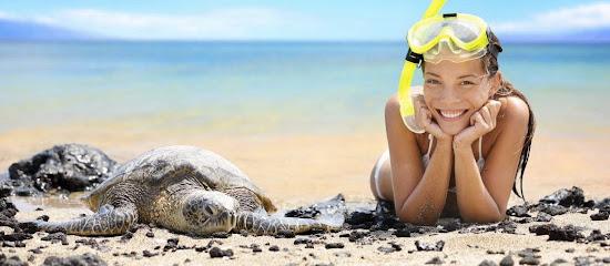 Hawaii Island Oral Surgery – Joan Greco, DDS - Oral surgeon in Kamuela, HI