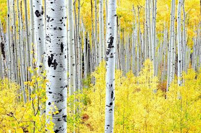 High Country Dentistry - General dentist in Hayden, CO
