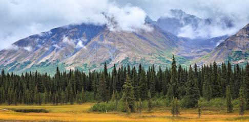 Eagle River Dental - General dentist in Eagle River, AK