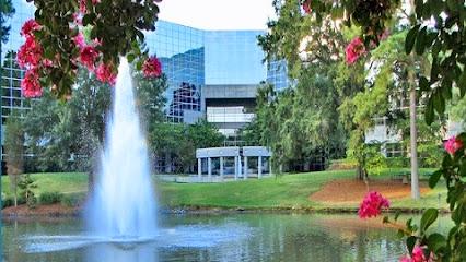 Frederick G. Lehmann, DDS, PA - General dentist in Chapel Hill, NC