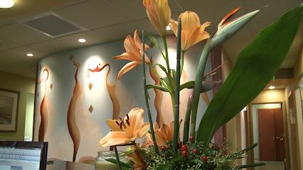 Future of Dentistry – Wakefield - General dentist in Wakefield, MA