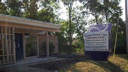 Dr Anthony Collins DDS - General dentist in Mundelein, IL