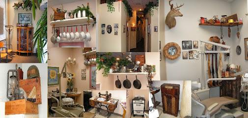 Chris A. Castellano D.M.D. P.A. - General dentist in Riverview, FL