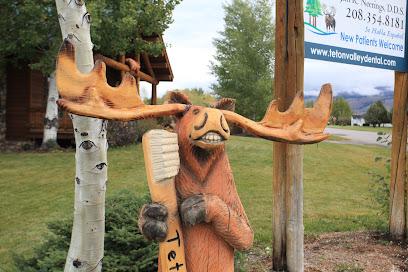Teton Valley Dental Center - General dentist in Driggs, ID