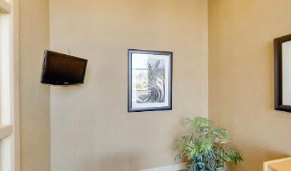 Branchview Dental Care - General dentist in Concord, NC