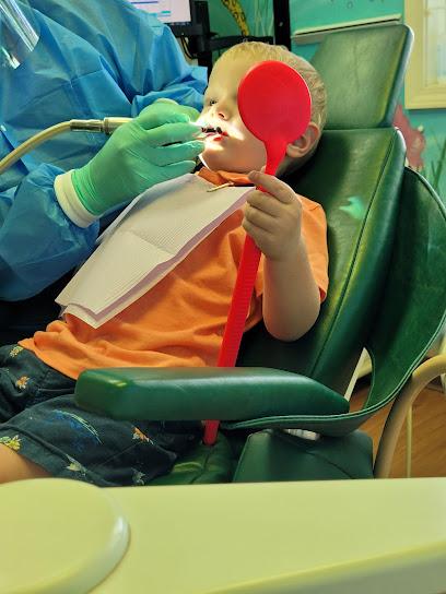 J Bradley Ecker PLLC - Pediatric dentist in Batavia, NY