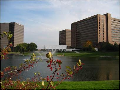 Hamilton Lakes Dentistry - General dentist in Itasca, IL