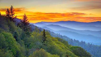 Associated Oral & Implant Surgeons - Oral surgeon in Bristol, TN