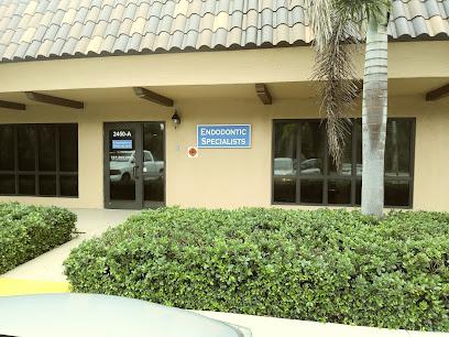 Endodontic Specialists - Endodontist in Clearwater, FL