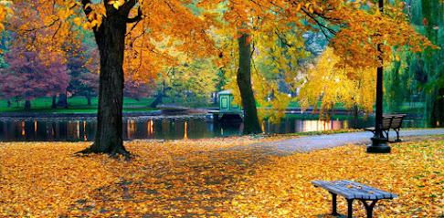 Robert Kelly, DDS - General dentist in Framingham, MA