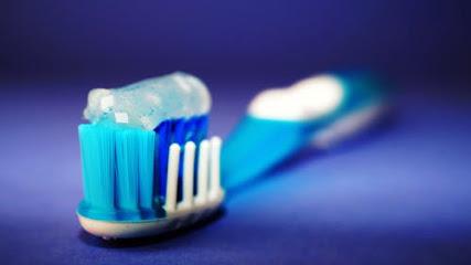 Oglethorpe Dental Center - General dentist in Macon, GA
