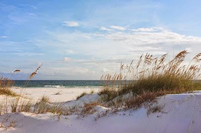 Westchase Endodontics - Endodontist in Oldsmar, FL