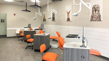 Smiles & Co. Pediatric Dentistry - Pediatric dentist in Ocoee, FL