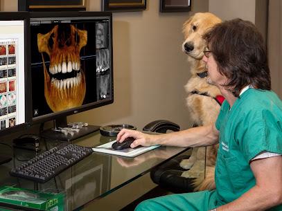 Atlanta Endodontics - Endodontist in Atlanta, GA