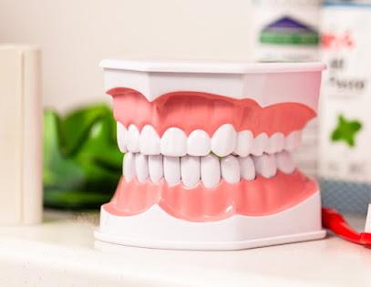 Dr. Beth Hendlin DDS - General dentist in Valatie, NY