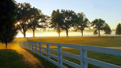 Ocala Family Dentistry - General dentist in Ocala, FL
