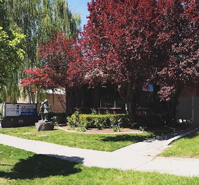 Art City Dental - General dentist in Springville, UT