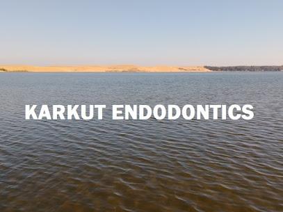 Bradley P Karkut - Endodontist in Delaware, OH