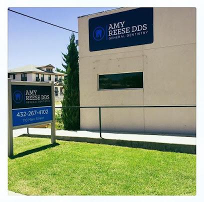 Amy Reese, DDS - General dentist in Big Spring, TX