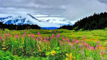 Anchor Dental - General dentist in Anchorage, AK