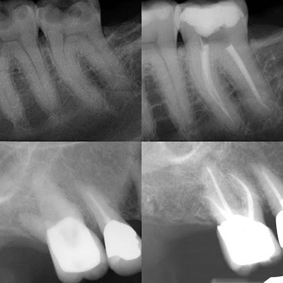 Dr. Bas M. Antic Groen, DDS - General dentist in Deerfield Beach, FL