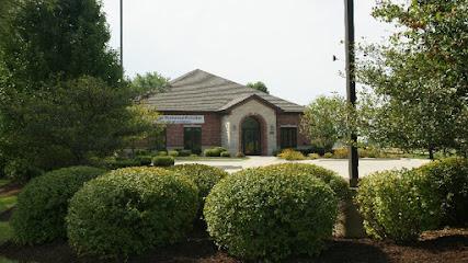 The Dental Artists - General dentist in Bolingbrook, IL