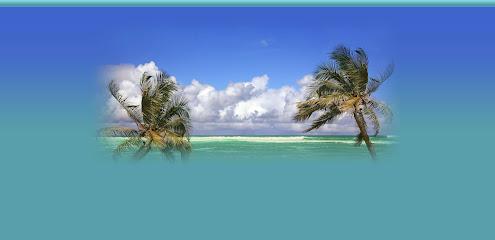 Island Dental Spa - General dentist in Bradenton Beach, FL