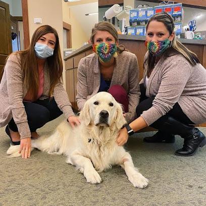 Harrington Orthodontics - Orthodontist in Saint Joseph, MI