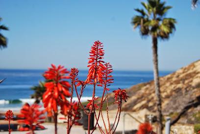 David Daughters, DDS, Inc. - General dentist in Solana Beach, CA