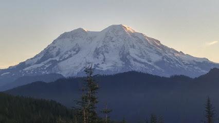 Northwest Endodontic Specialists - Endodontist in Olympia, WA