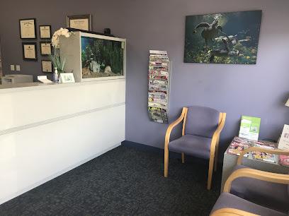 Spring View Dental - General dentist in South Elgin, IL