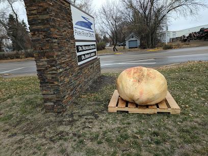 Park River Dental - General dentist in Park River, ND