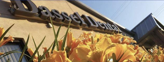 Dassel Dental - General dentist in Dassel, MN