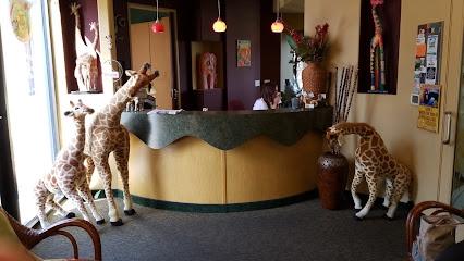 Safari Smiles Dental - Pediatric dentist in Sonora, CA