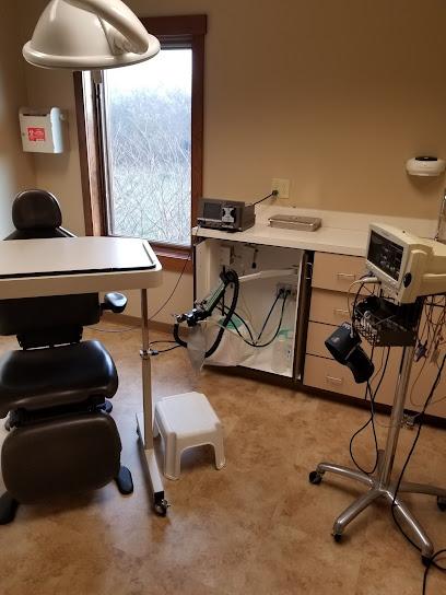 James L DeSantis DDS, MD - Oral surgeon in Johnson City, NY